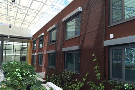 loyola_college_chicago